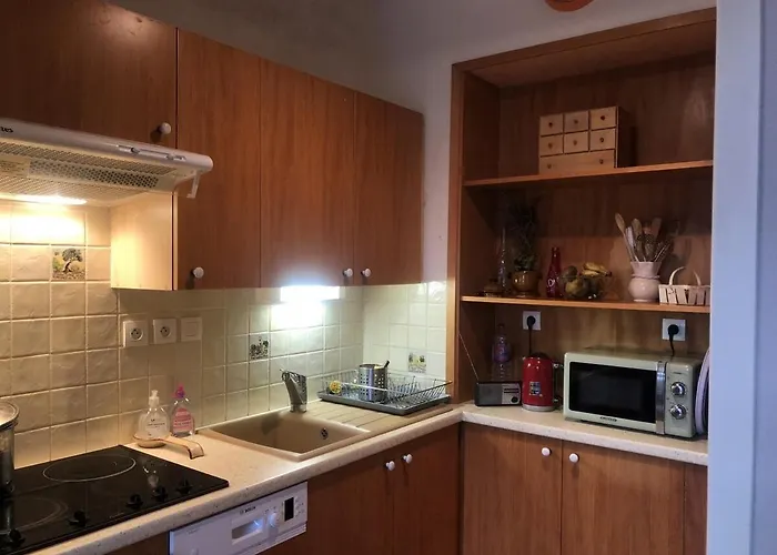 T2 60 M2 L'albion Vue 1 Parking Et Piscine, Centre-ville